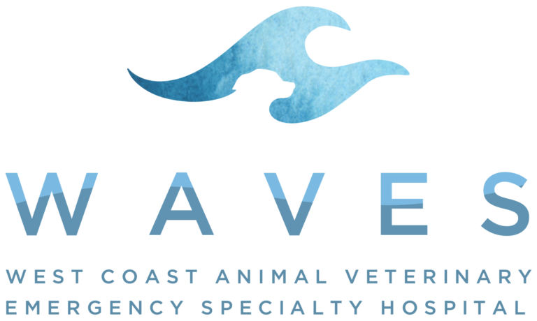 Logo Westcoast Animal Veterinary Emergency Specialty Hospital colour PNG 1 2048x12271 1 768x460